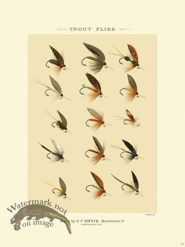 (image for) Favorite Flies 17 Trout