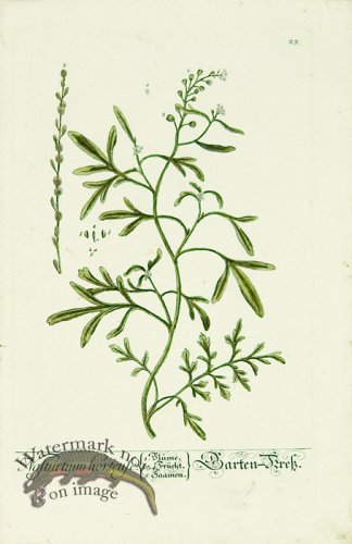 (image for) Blackwell German 256