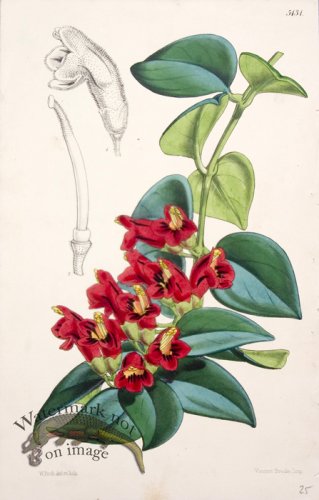 (image for) CBMS_0003