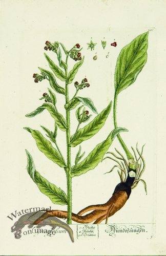 (image for) Blackwell German 151