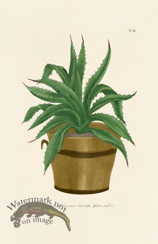 (image for) Weinmann PL 067