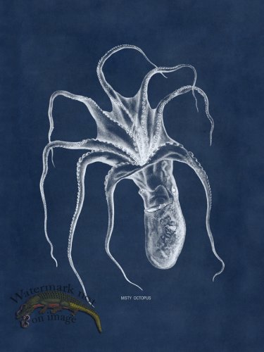 (image for) Octopus Blue 46