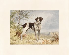 Pope Dog 02 Native Pointer