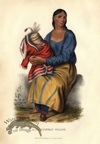 (image for) A Chippeway Widow
