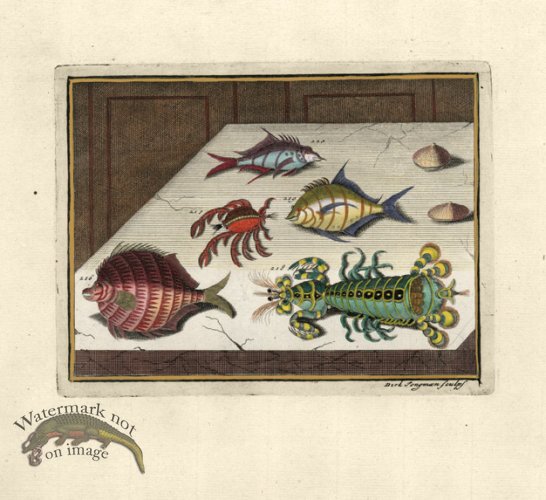 (image for) Valentijn 15