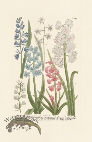 (image for) Weinmann PL 585