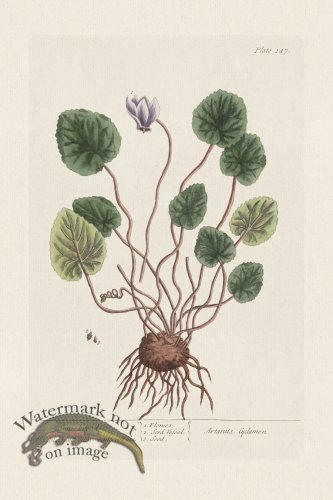 (image for) BEE 147 Son-bread