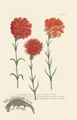 (image for) Weinmann PL 338