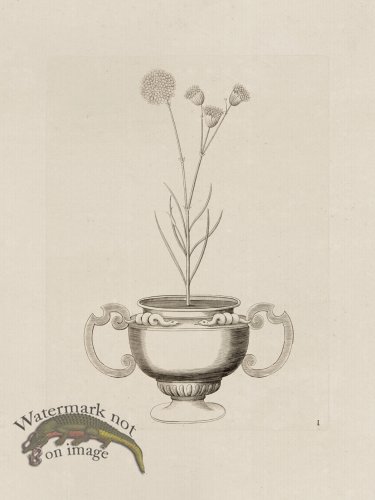 (image for) Potted Plant 01