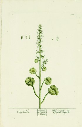 Blackwell German 249