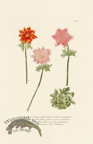 (image for) Weinmann PL 122