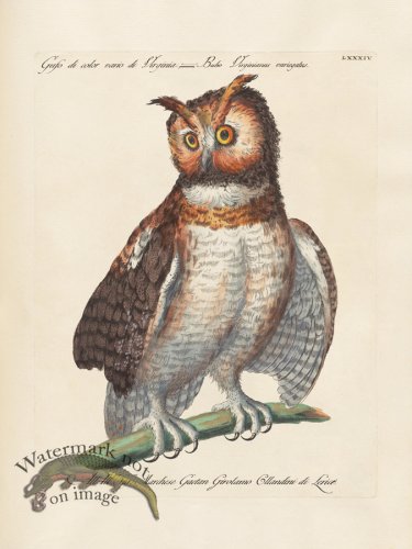 (image for) Manetti 084