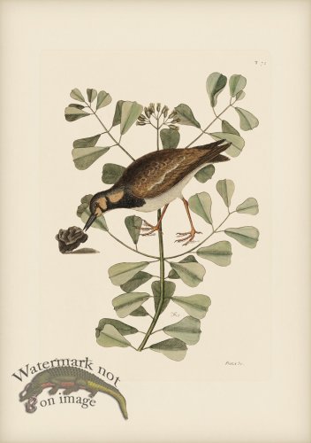 (image for) 072 Turn Stone