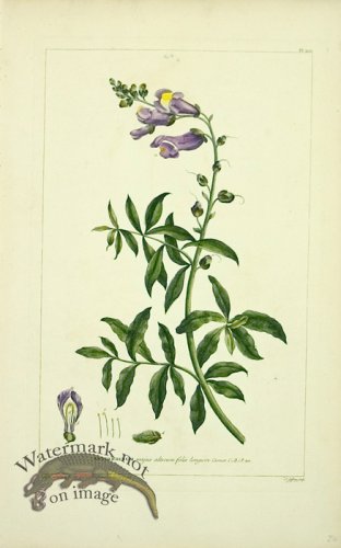 (image for) Philip Miller 045