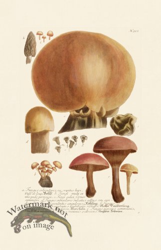 (image for) Weinmann PL 523