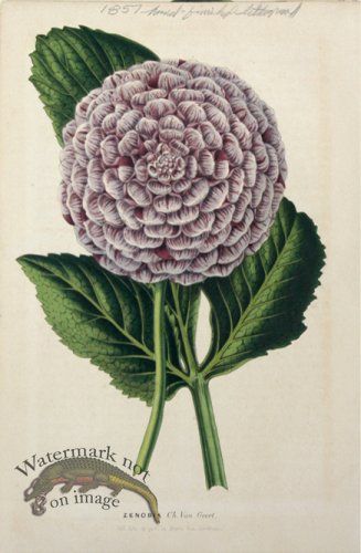 (image for) Houtteano_Bot_01