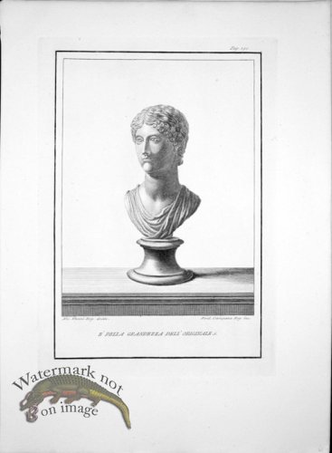 (image for) Ercolano Bust 11
