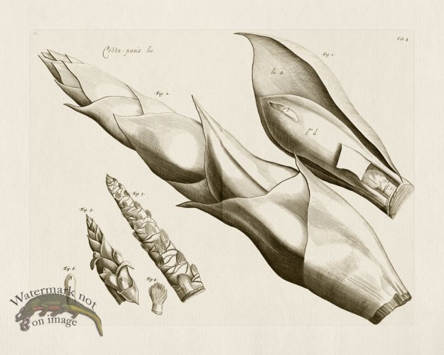 (image for) HORTUS VOl 03 04