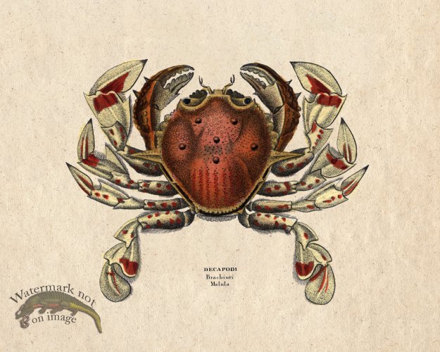 (image for) Sand_Soldier_02