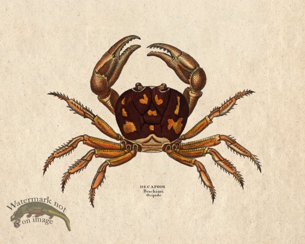 (image for) Sand_Soldier_03