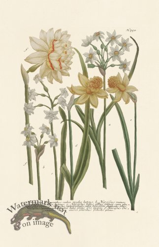 (image for) Weinmann PL 750