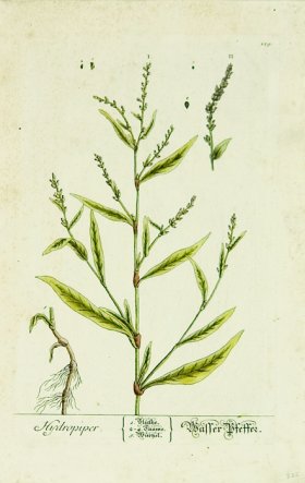 Blackwell German 091