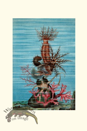 (image for) Underwater 07