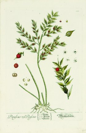 Blackwell German 226