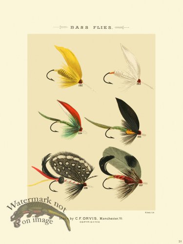 (image for) Favorite Flies 31 Bass