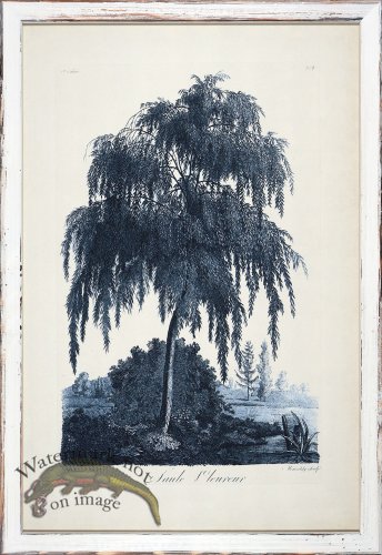 (image for) Blue Trees in Distressed White 09