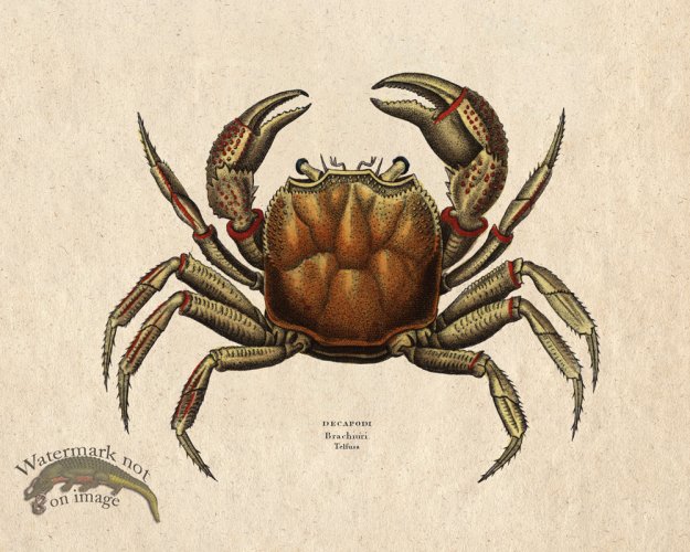 (image for) Sand_Soldier_08