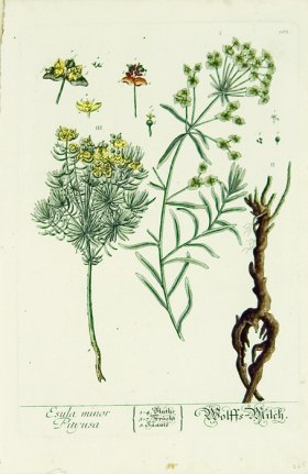 Blackwell German 227