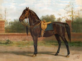 Wojko Queens Horse by Eerelman