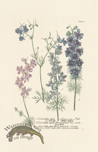 (image for) Weinmann PL 408