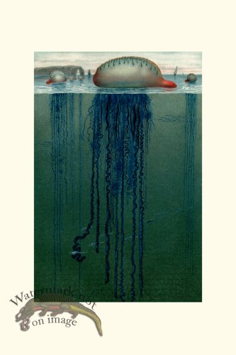 (image for) Underwater 11