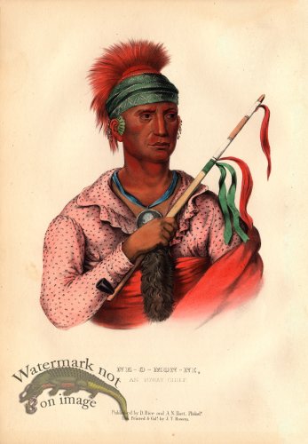 (image for) Ne-O-Mon-Ni