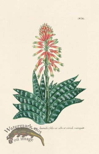 (image for) Weinmann PL 068