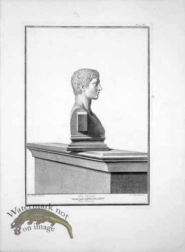 (image for) Ercolano Bust 01