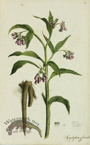 (image for) 1828_Gmp 052