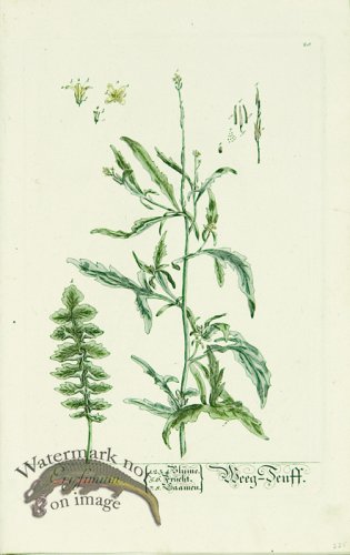 (image for) Blackwell German 102