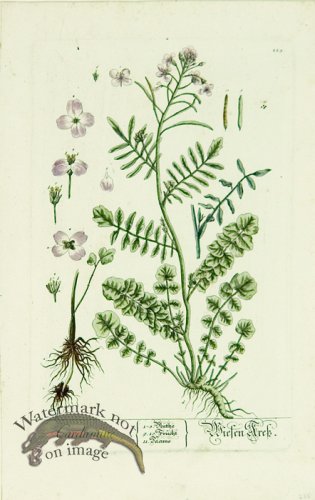 Blackwell German 061