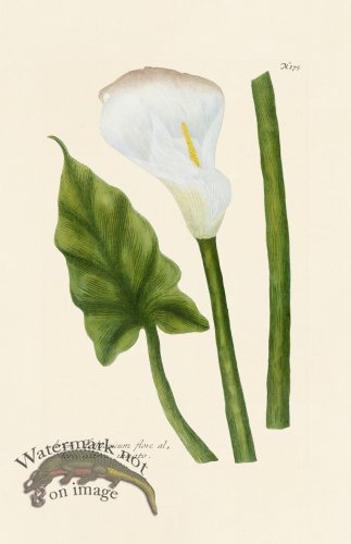 (image for) Weinmann PL 175