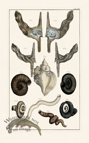 (image for) Seba B2 093