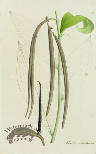 (image for) 1828_Gmp 041