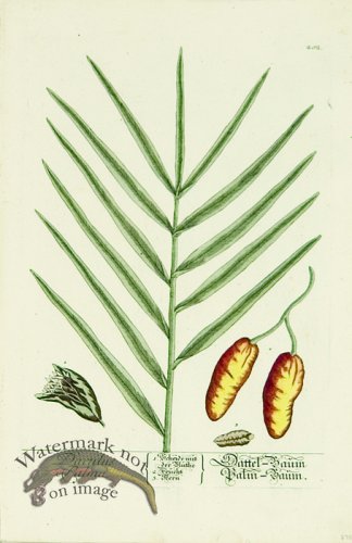 Blackwell German 194