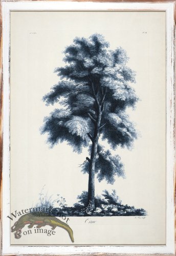 (image for) Blue Trees in Distressed White 03