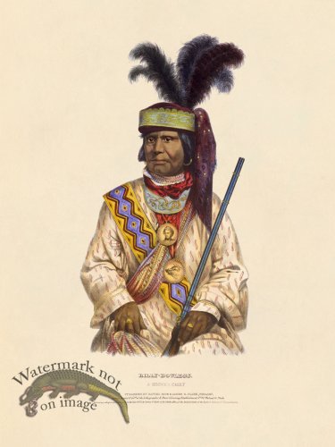 (image for) Billy Bowlegs Seminole