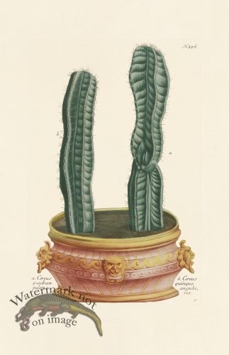 (image for) Weinmann PL 356