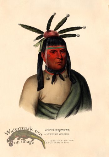 (image for) Amiskquew