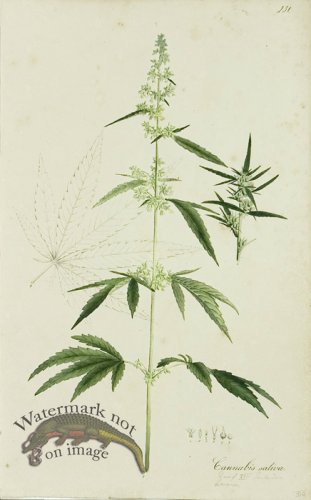 (image for) 1828_Gmp 047